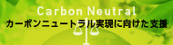 カーボンニュートラル実現支援