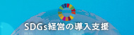 SDGs経営の導入支援