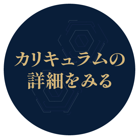 カリキュラムの詳細をみる
